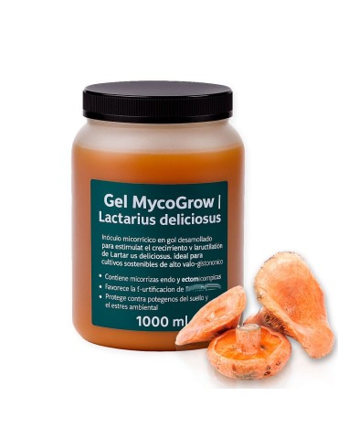 Gel MycoGrow | Gel micorrhizien pour Lactarius deliciosus