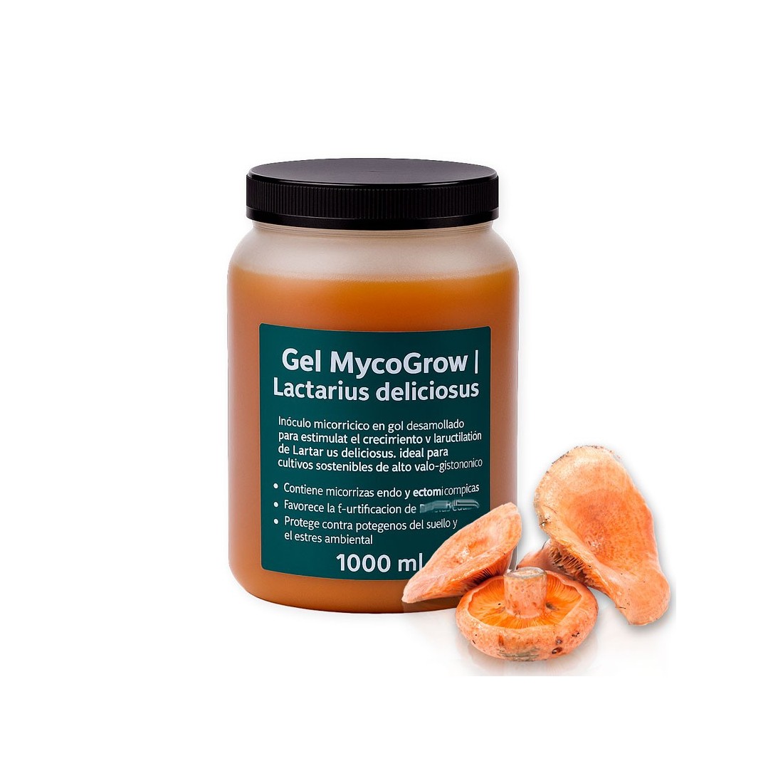 MycoGrow Gel | Mykorrhizagel für Lactarius deliciosus MycoGrow Gel | Mykorrhizagel für Lactarius deliciosus