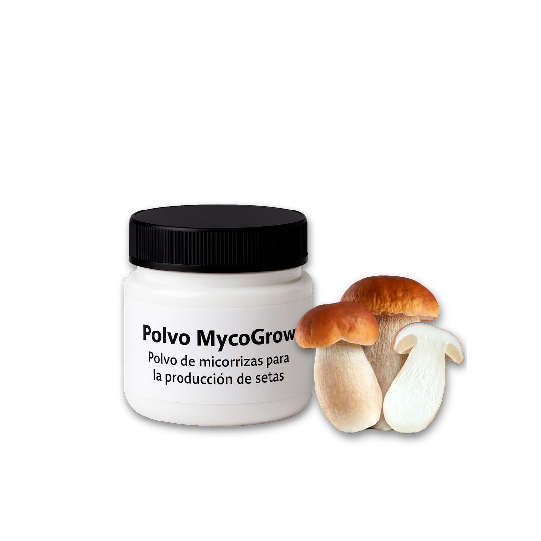MycoGrow Powder | Mycorrhizal Powder for Boletus Production MycoGrow Powder | Mycorrhizal Powder for Boletus Production