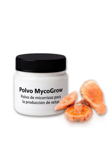 Polvo MycoGrow | Polvo de micorrizas para la producción de Lactarius deliciosus
