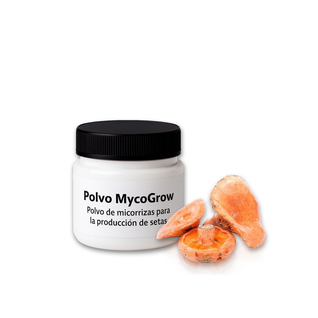 Polvo MycoGrow | Polvo de micorrizas para la producción de Lactarius deliciosus Polvo MycoGrow | Polvo de micorrizas para la producción de Lactarius deliciosus