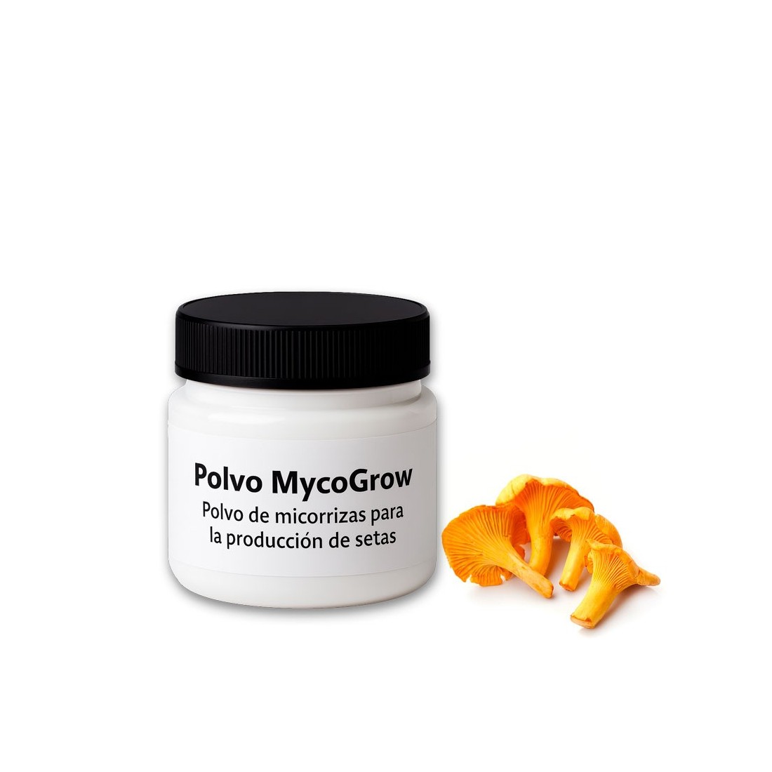 Poudre MycoGrow | Poudre micorrhizienne pour Cantharellus cibarius Poudre MycoGrow | Poudre micorrhizienne pour Cantharellus cibarius