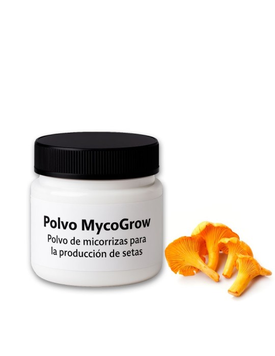 MycoGrow Powder | Mycorrhizal Powder for Cantharellus cibarius Production MycoGrow Powder | Mycorrhizal Powder for Cantharellus cibarius Production