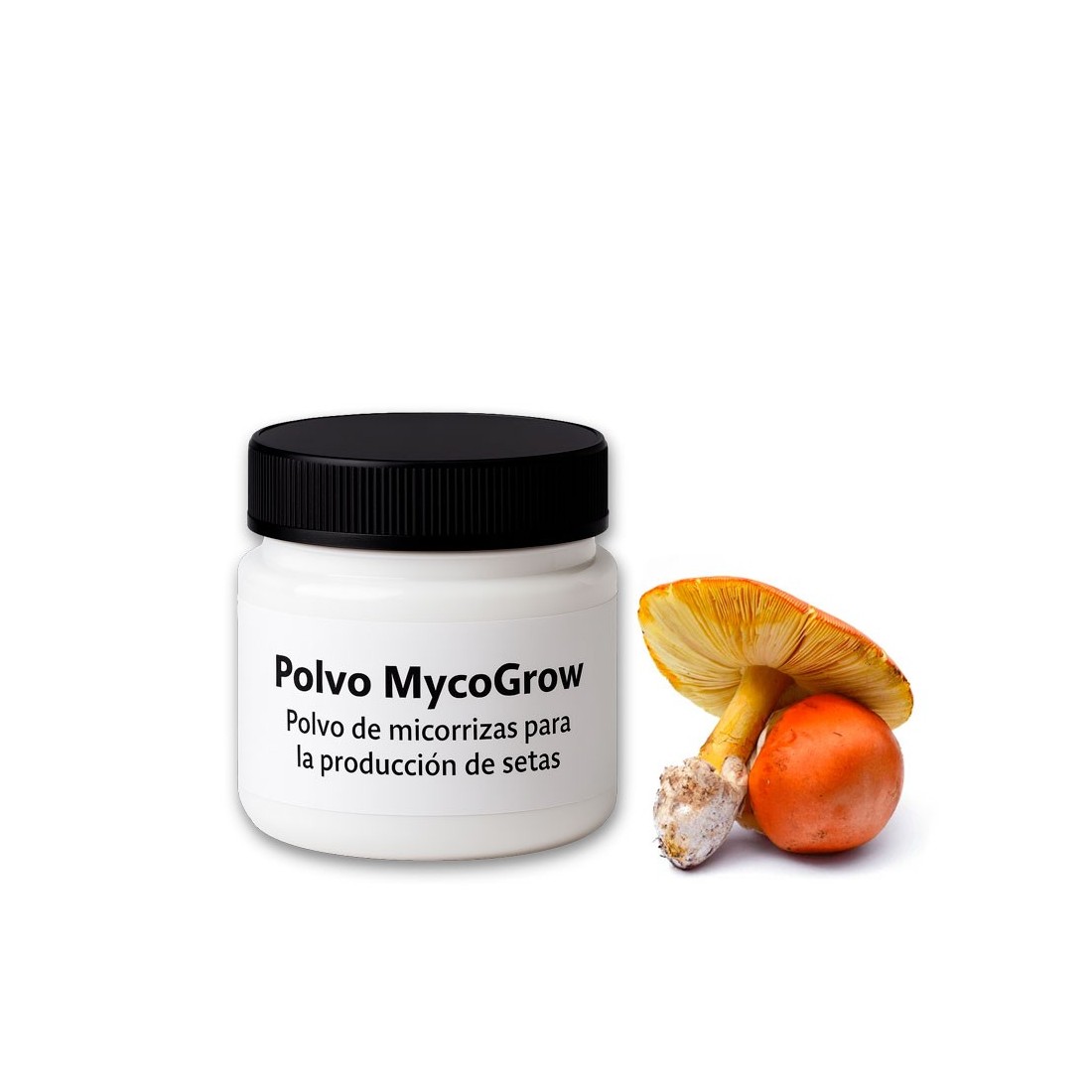 MycoGrow Powder | Mycorrhizal Powder for Amanita caesarea Production MycoGrow Powder | Mycorrhizal Powder for Amanita caesarea Production