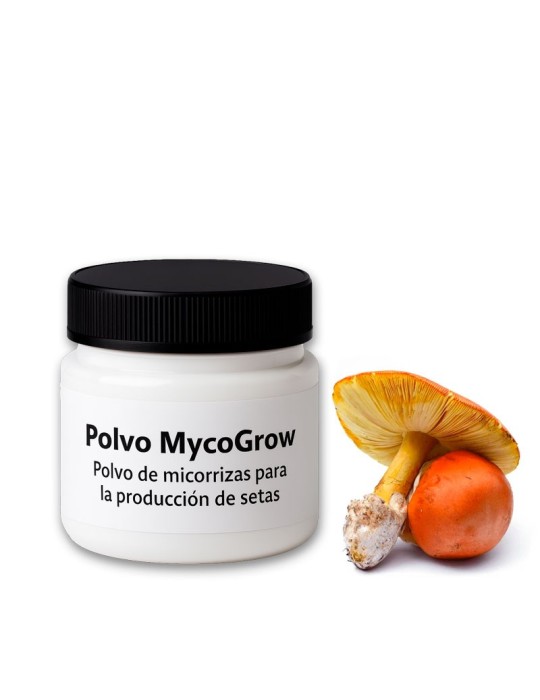 Polvo MycoGrow | Polvo de micorrizas para la producción de Amanita caesarea Polvo MycoGrow | Polvo de micorrizas para la producción de Amanita caesarea