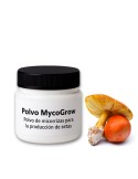 Polvo MycoGrow: inóculo de micorrizas para cultivo de Amanita caesarea en robles y castaños.