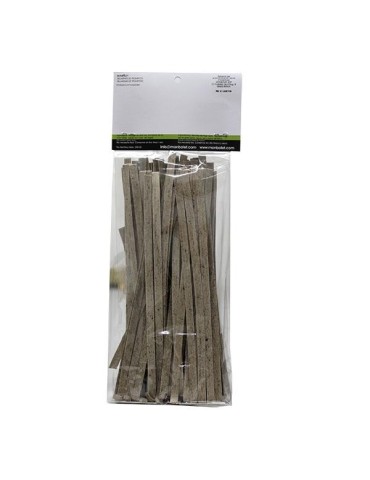 Nouilles de la trompette des morts 2