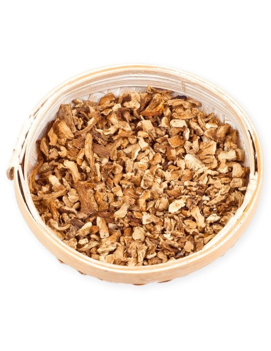 Dried Perrechicos - Gourmet Mushrooms for Any Dish