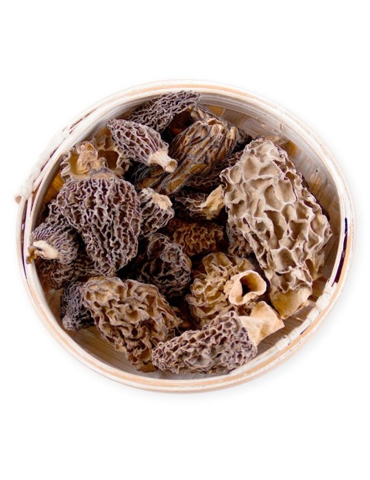 Morels Secos Gourmet de Qualidade Extra Morels Secos Gourmet de Qualidade Extra