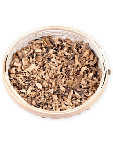 Champignons huîtres déshydratés | Saveur intense et 100% naturelle