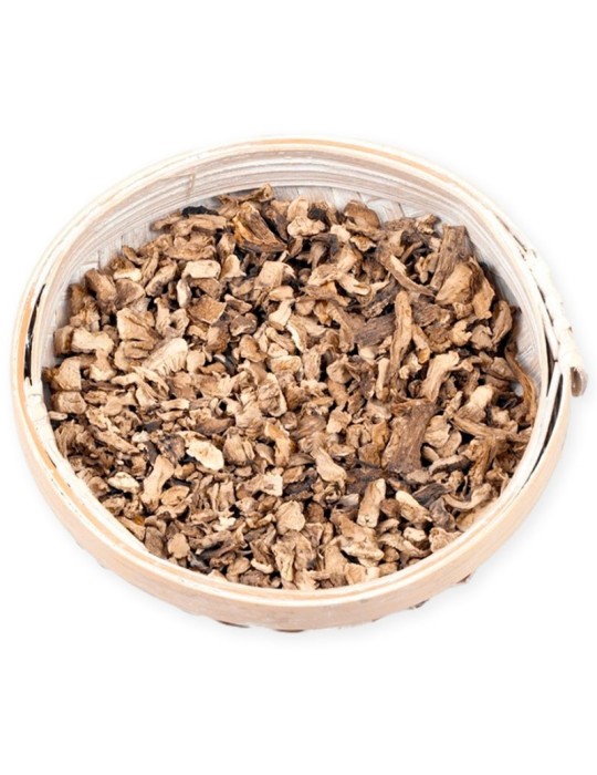 Cogumelos ostra desidratados | Sabor intenso e 100% natural