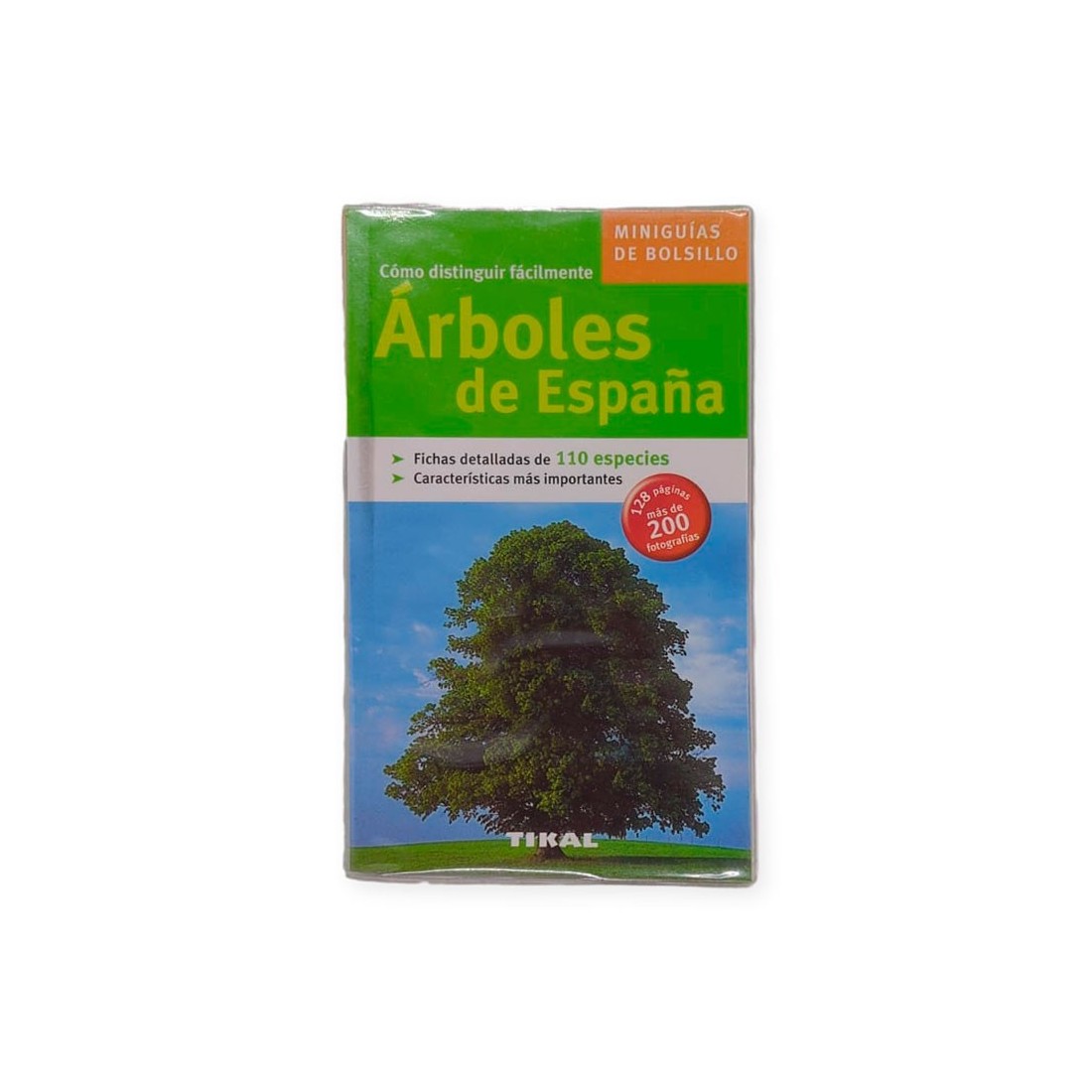Identify Over 50 Spanish Tree Species Identify Over 50 Spanish Tree Species