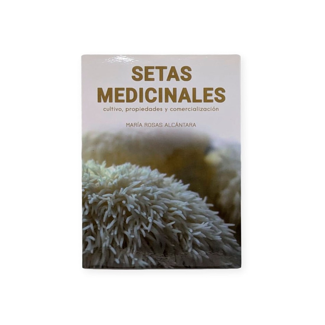 Cogumelos Medicinais - Cultivo, Benefícios e Comercialização Cogumelos Medicinais - Cultivo, Benefícios e Comercialização