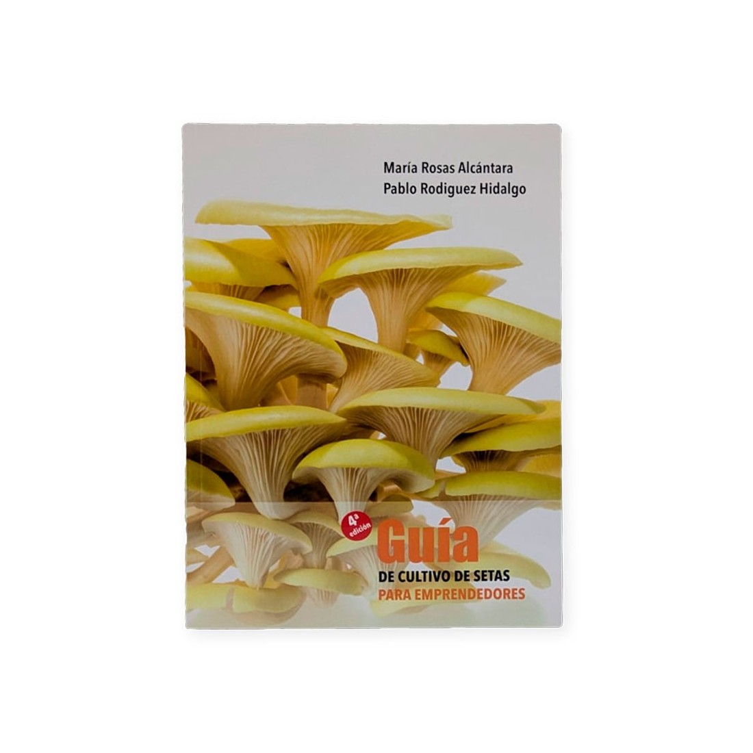 Guide pour Entreprise de Culture de Champignons