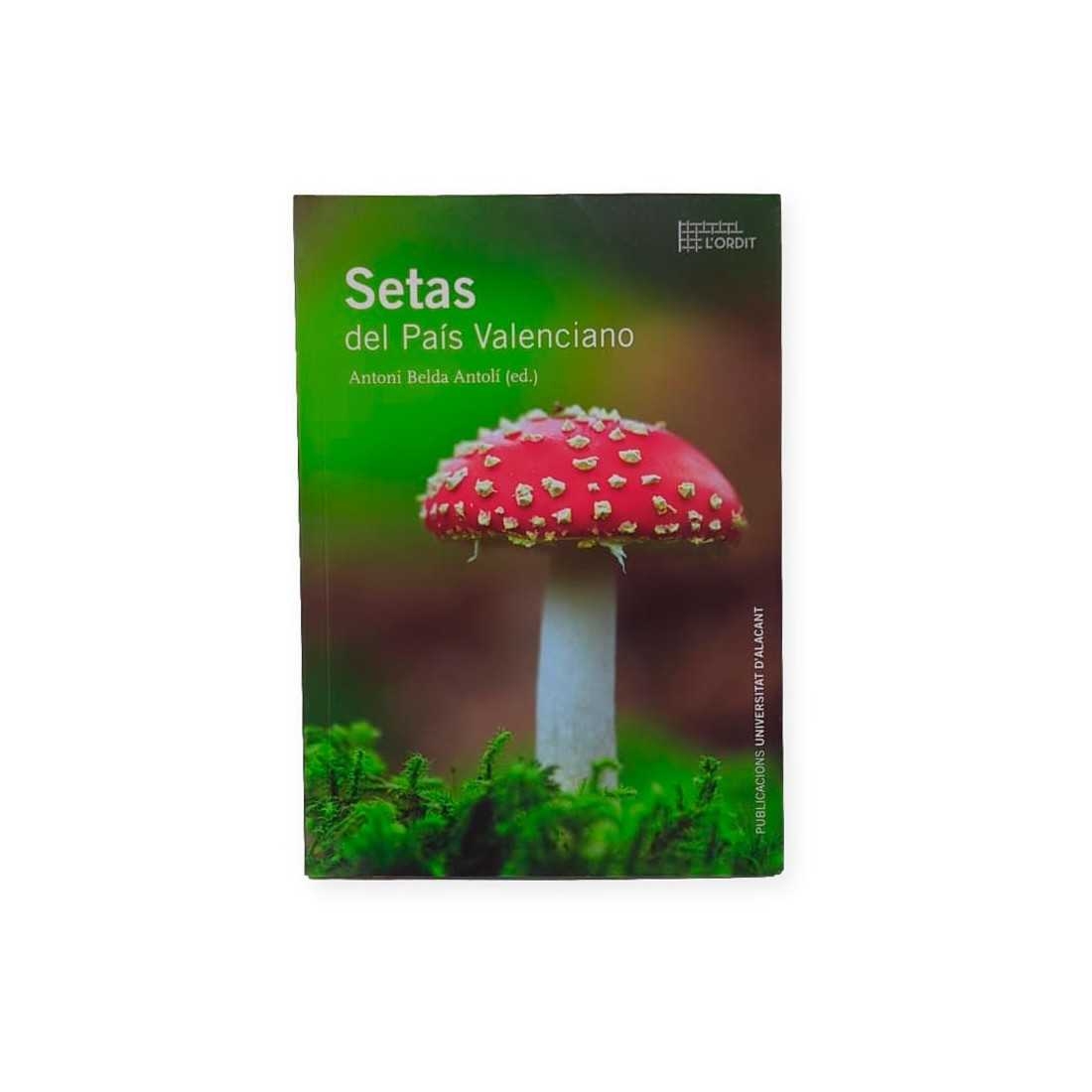 Guide Champignons Pays Valencien - Identification & Culture