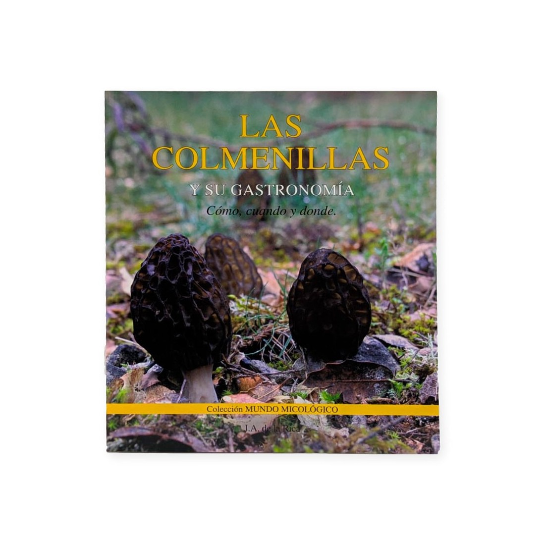 Colmenillas Gourmet | Einzigartiges sensorisches Erlebnis Colmenillas Gourmet | Einzigartiges sensorisches Erlebnis