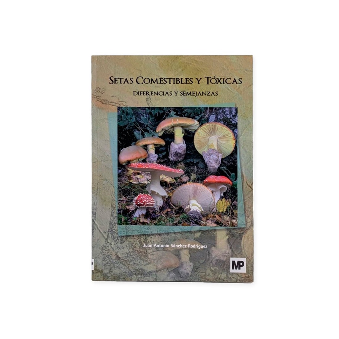 Mushroom Identification Guide - Edible vs Toxic by... Mushroom Identification Guide - Edible vs Toxic by...