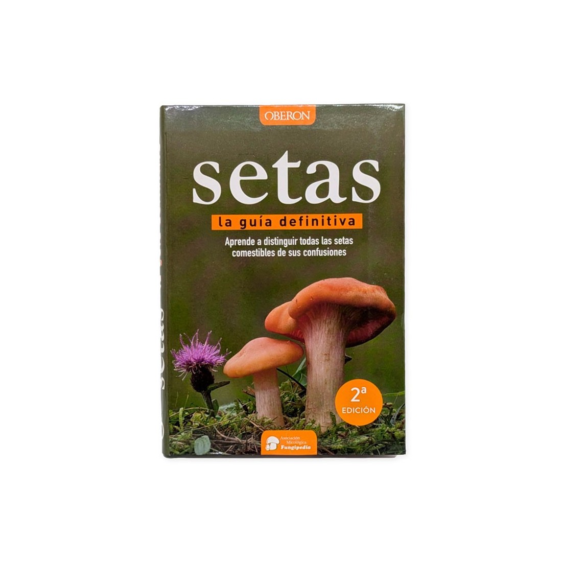 Setas, Guía Definitiva | Identificación Segura y Completa Setas, Guía Definitiva | Identificación Segura y Completa