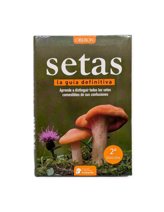 Setas, Guía Definitiva | Identificación Segura y Completa Setas, Guía Definitiva | Identificación Segura y Completa