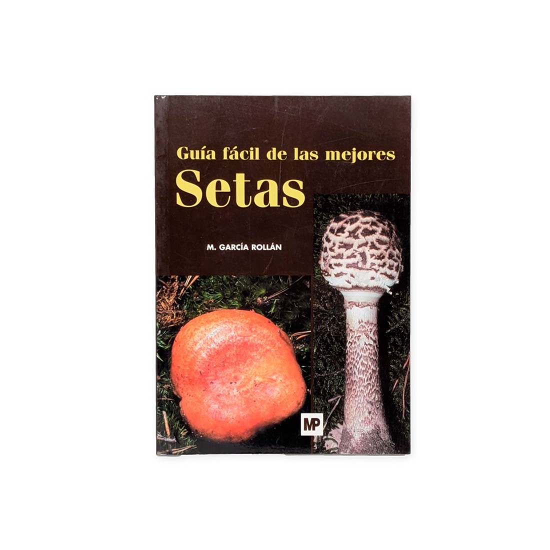 Mushroom Identification Guide by M. GARCÍA ROLLÁN Mushroom Identification Guide by M. GARCÍA ROLLÁN