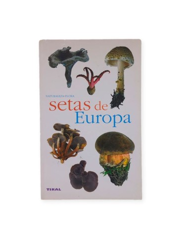 Explore European Mushrooms | Comprehensive Guide to...