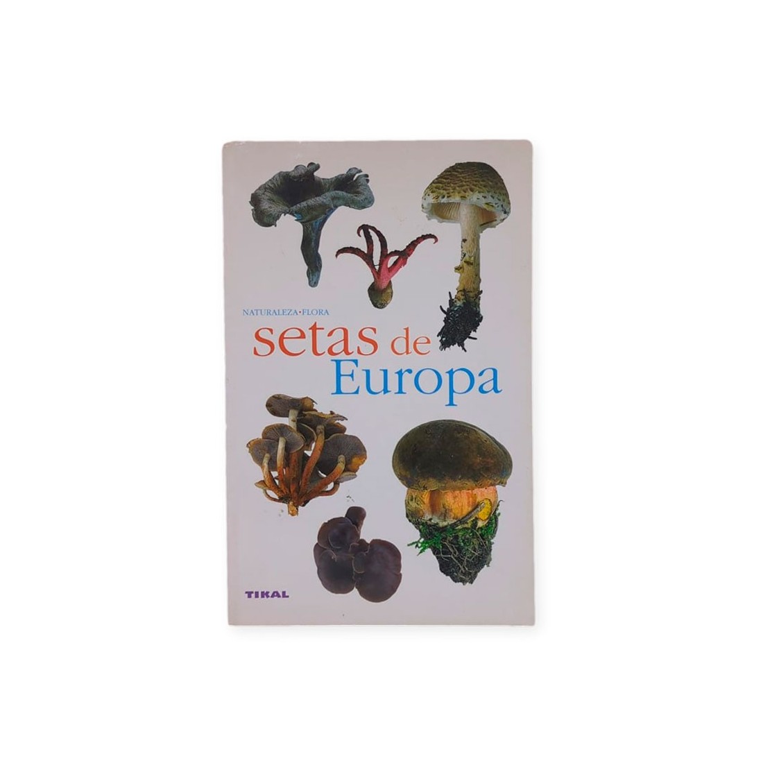 Guía Setas Europa - Explora y Identifica Setas Guía Setas Europa - Explora y Identifica Setas