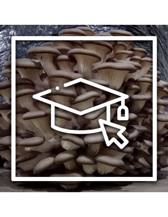 Curso de Cultivo General