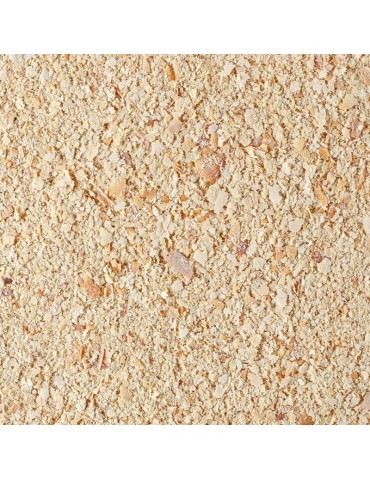 100 g di lievito alimentare biologico in polvere 2