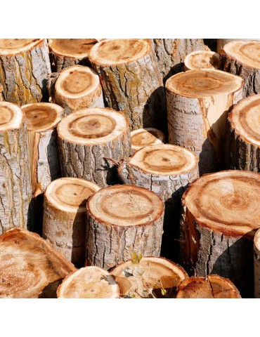 Tronchi di quercia per l'inoculazione dei funghi. 1000 kg