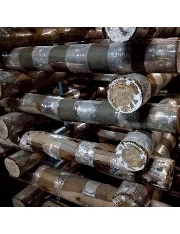 Troncs d'eucalyptus inoculés de shiitake. 1 000 kg