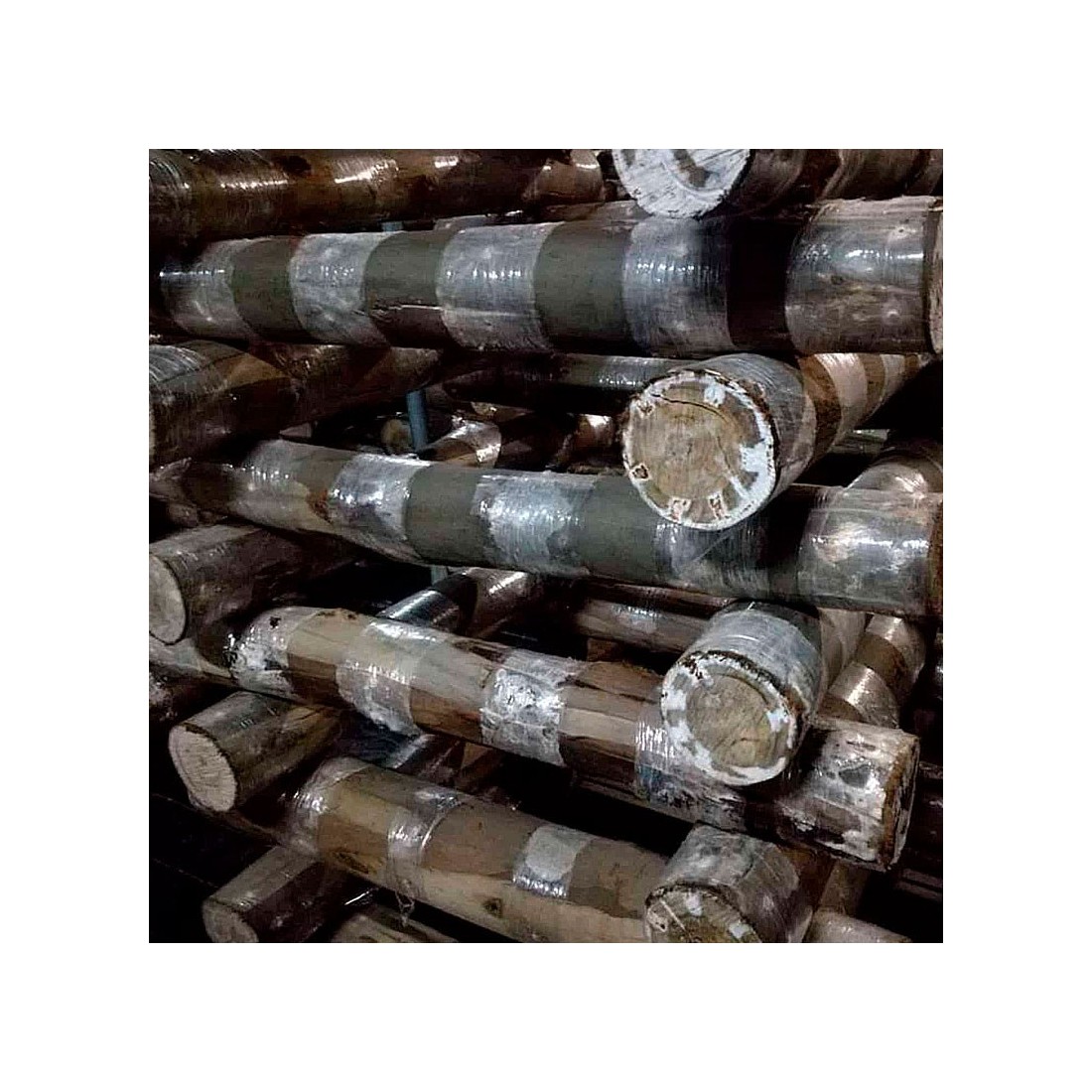 Troncs d'eucalyptus inoculés de shiitake. 1 000 kg