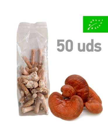 A. aegerita Mushroom Mycelium Pellets | 50 Units | Rich...