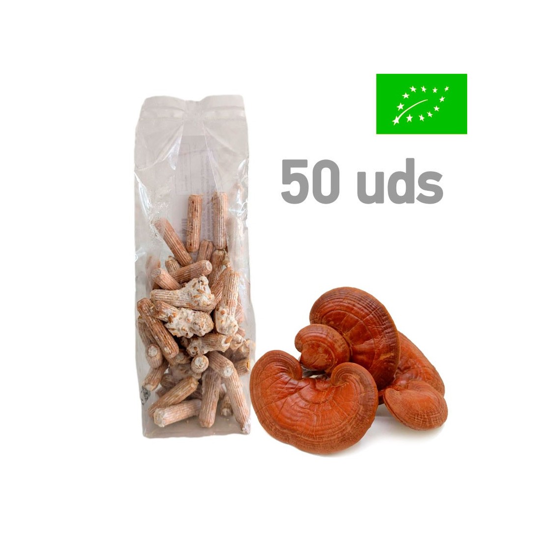 A. aegerita Pilzmyzel-Pellets - Intensiver Geschmack &...