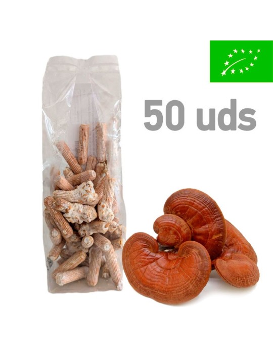 Micelio Pellet A. aegerita - Sapore Unico e Benefici Salute