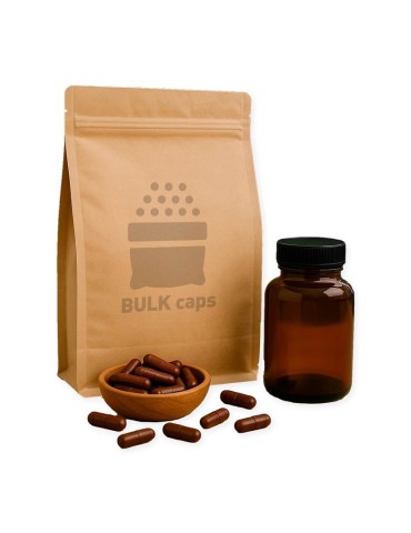 Bio-Chaga-Kapseln 500 mg, lose 2