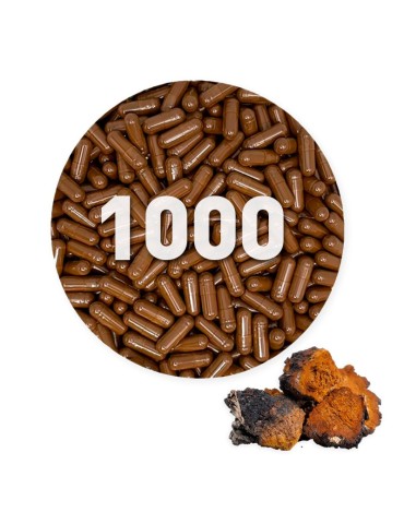 Cápsulas de Chaga Orgánicas 500 mg a granel