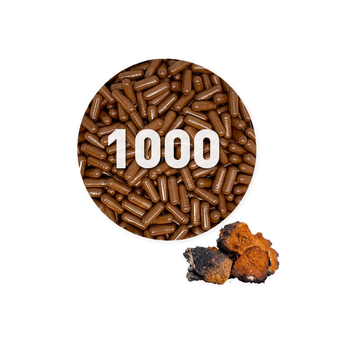 Gélules de chaga biologique 500 mg en vrac