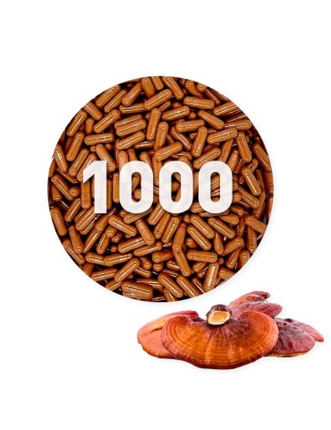 Capsule di Reishi biologico 450 mg sfuso