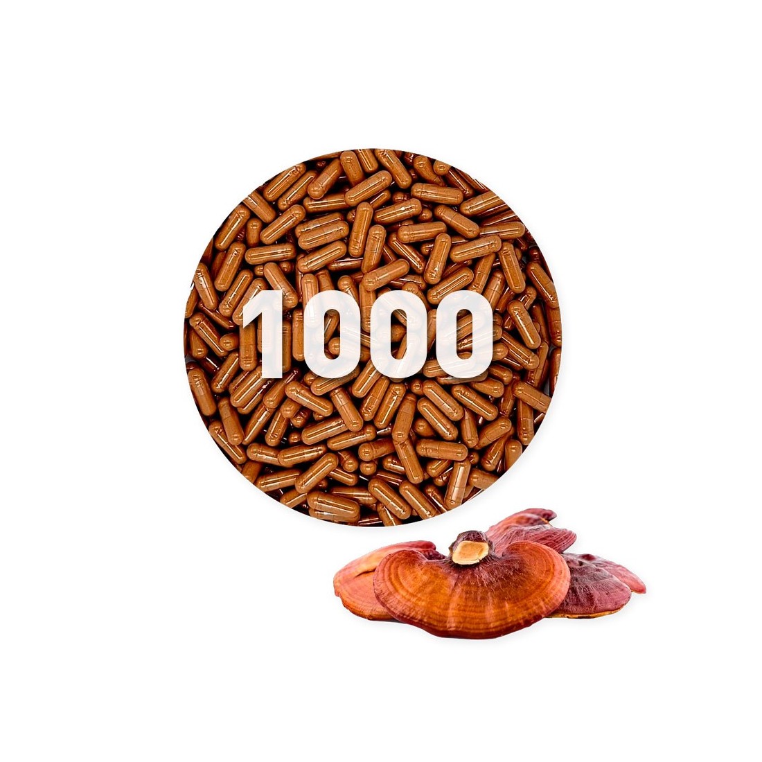 Capsule di Reishi biologico 450 mg sfuso