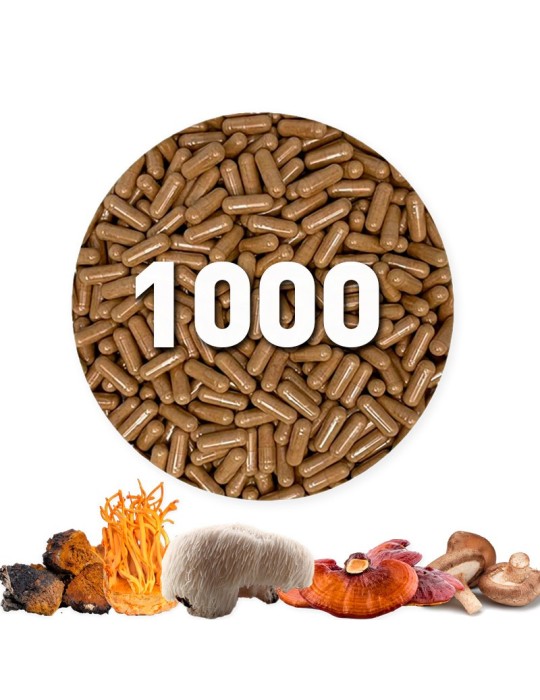 Kapseln mit einer Mischung aus 7 Bio-Pilzen, 450 mg, lose