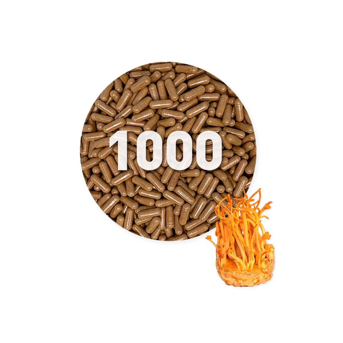 Cópia de Cópia de Cápsulas de Reishi Orgánicas 450 mg a granel