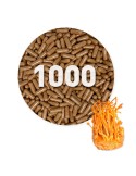 Gélules de Cordyceps Bio 500 mg en vrac, complément naturel certifié de La Casa de las Setas.