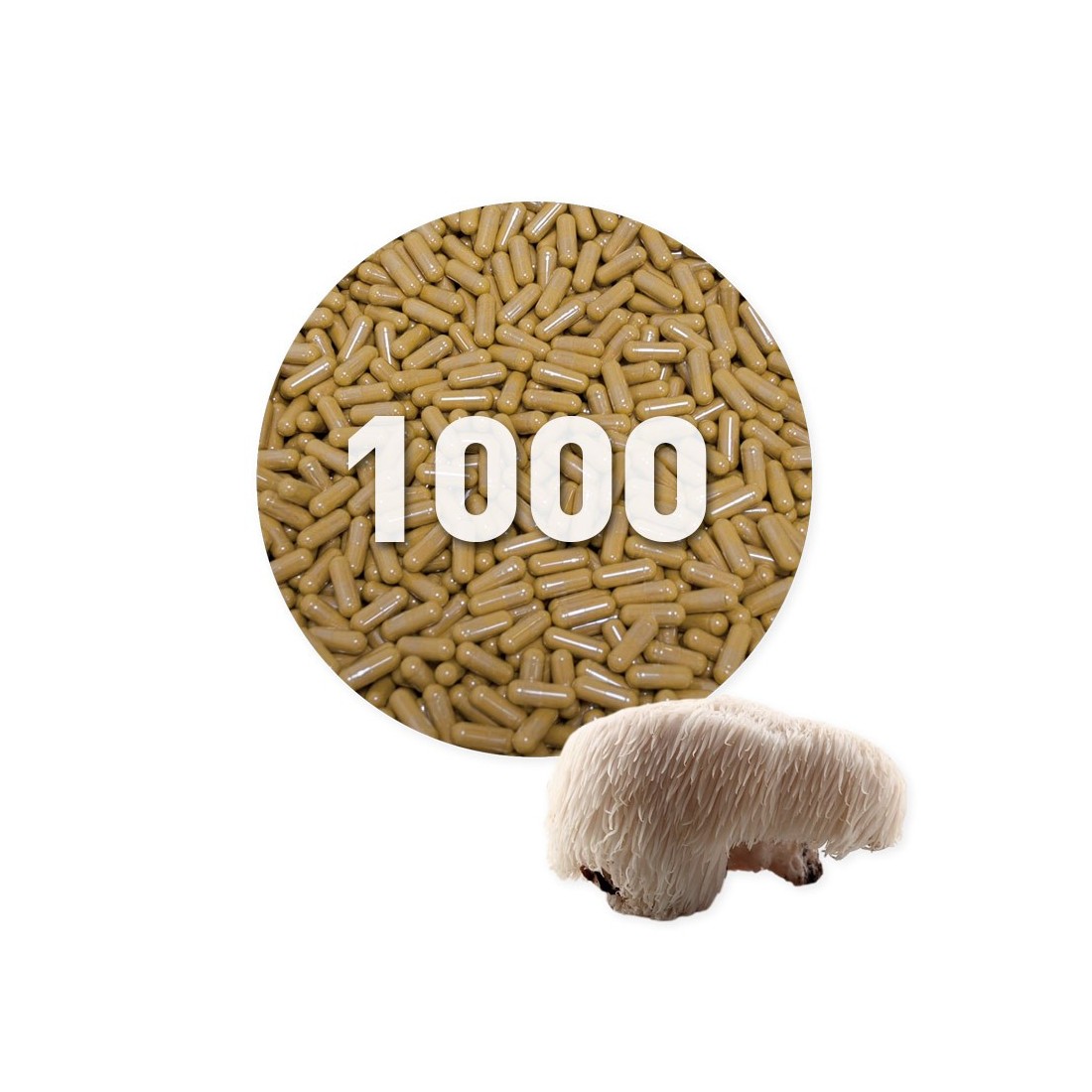 Cópia de Cópia de Cópia de Cápsulas de Reishi Orgánicas 450 mg a granel