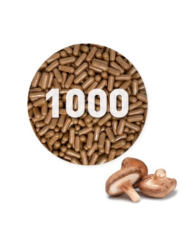 Cápsulas de Shiitake Orgânicas 450 mg a granel