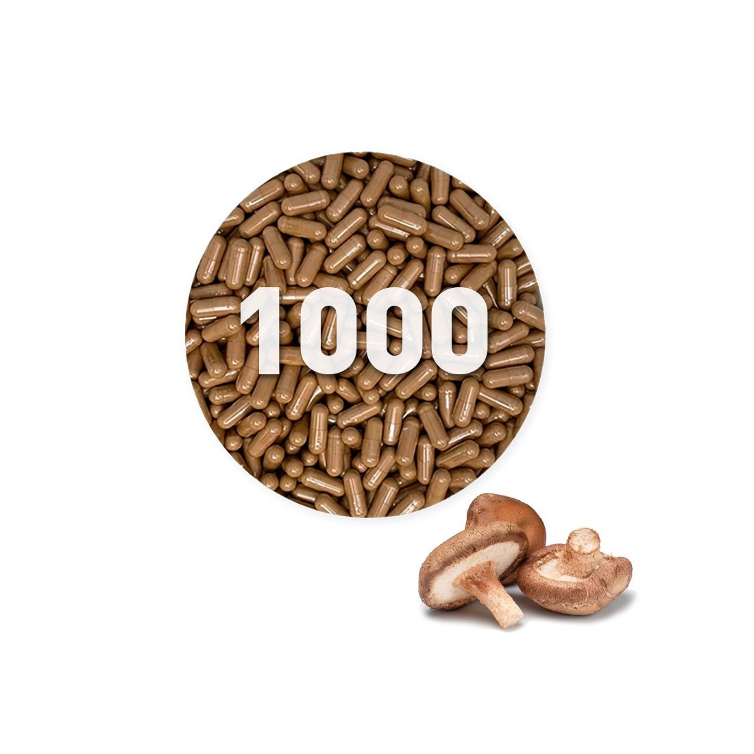 Organic Shiitake Capsules 450 mg in bulk
