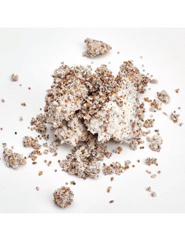 Mycélium Pleurote Ostréiculteur 30L Industriel 2