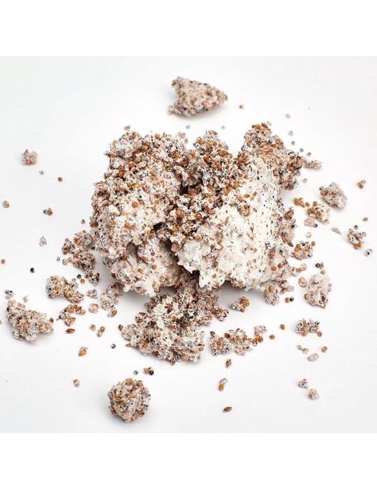 Grow Gourmet Mushrooms - Aegeirita Birch Mushroom Spawn 7kg