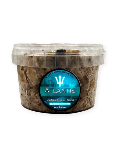 Grow Your Own Black Truffles | Atlantis Truffle Grow Kit