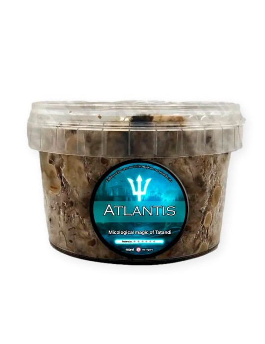 Kit de culture truffes Atlantis - Cultivez vos propres...