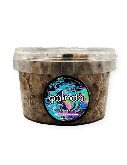 Cultive Trufas em Casa | Grow Kit Galindoi